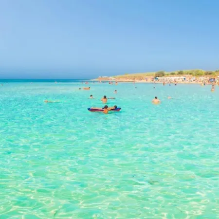 Summer Torre Pali